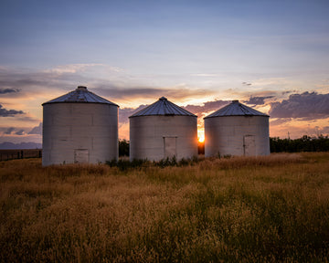 Three Bins