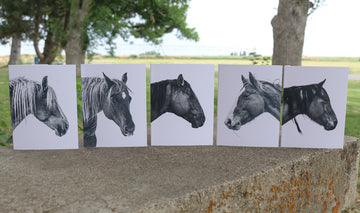 Horse Notecards
