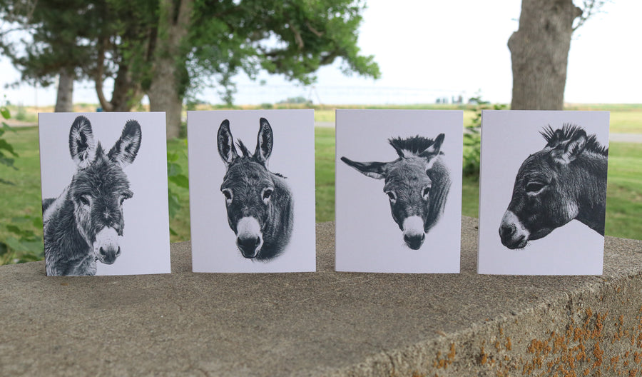Donkey Notecards