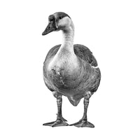 A black and white photo of a mothergoose. Ethan Oberst Photography